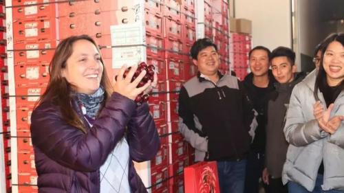 Bringing Quality Chilean Cherries to China