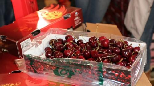 Bringing Quality Chilean Cherries to China