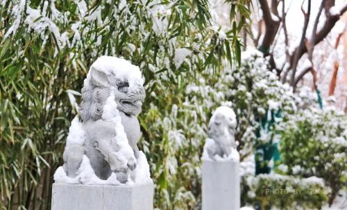 一下雪石家庄就变成了……