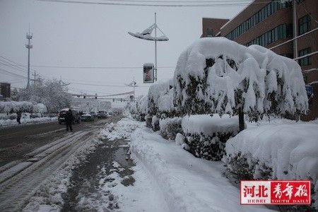 张家口“雪警”来了