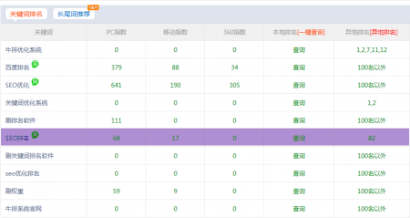 移动端网站怎样SEO优化排名牛排系统高手一招