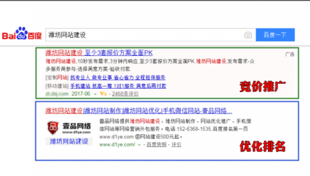 潍坊网站建设做百度推广好还是SEO优化好？