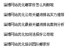 淄博网站优化方案二