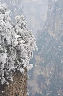 昨天一场雪后驻马店就美成了仙界...今天还有