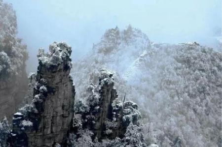 昨天一场雪后驻马店就美成了仙界...今天还有