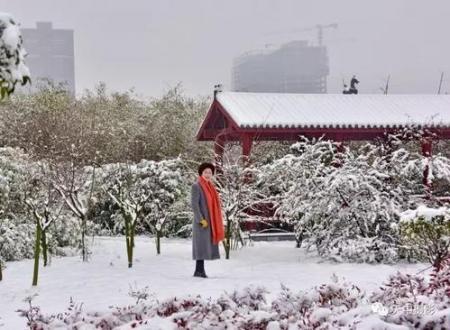 昨天一场雪后驻马店就美成了仙界...今天还有