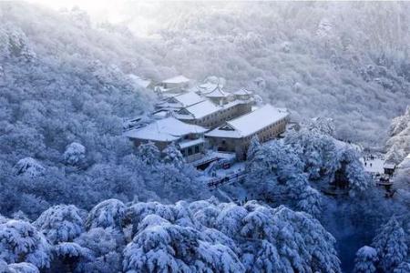 昨天一场雪后驻马店就美成了仙界...今天还有