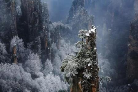 昨天一场雪后驻马店就美成了仙界...今天还有