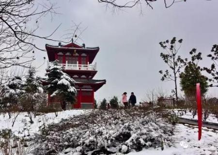 昨天一场雪后驻马店就美成了仙界...今天还有