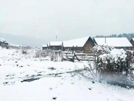 美哭！一场大雪后驻马店居然变成了童话世界