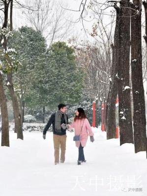 美哭！一场大雪后驻马店居然变成了童话世界