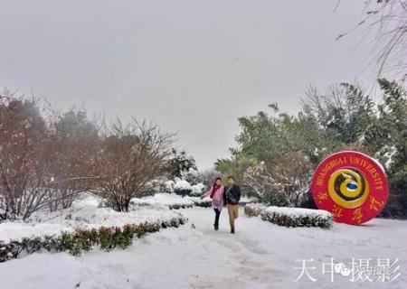 美哭！一场大雪后驻马店居然变成了童话世界