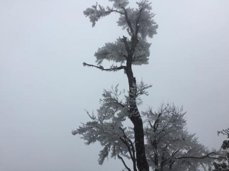 张家界天门山一日游张家界旅游攻略