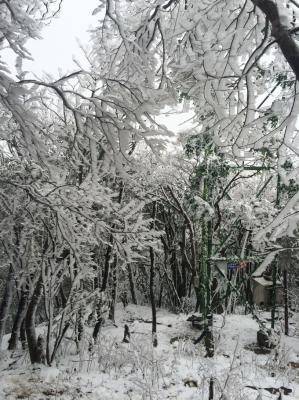 张家界天门山一日游张家界旅游攻略