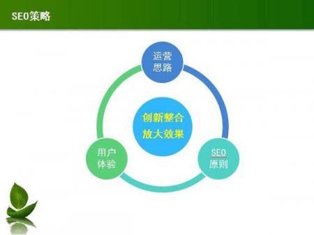 拨云见日的SEO方案 让SEO优化变得更简单