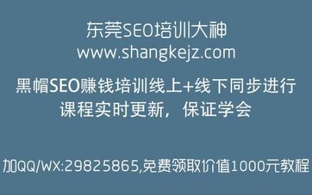 揭晓SEO关键词排名靠前的网站是如何做上来的