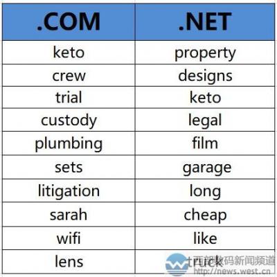 威瑞信1月月报：“keto”(生酮)成为热门域名关键