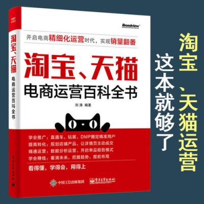 互联网流量运营从入门到精通-SEO技术培训