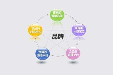 [39个seo推广案例]大型网站SEO方案