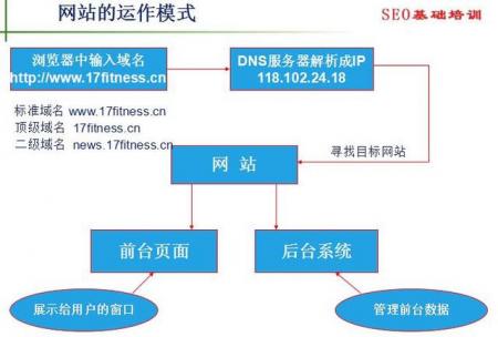 SEO优化基本概念一