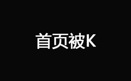 网站被K之后快速恢复技巧 经验心得 第2张