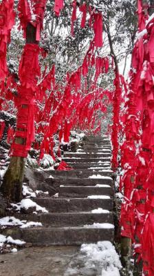 张家界天门山一日游张家界旅游攻略